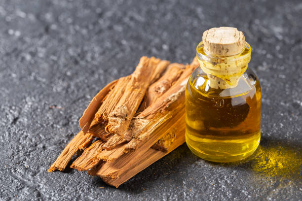 istock bark and essential extract of medicinal plant cat's claw 1312736382