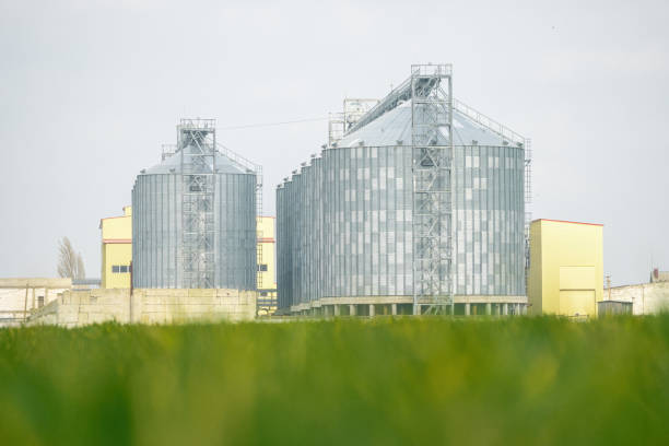 istock Grain elevator. Metal grain elevator in agricultural zone. Agriculture storage for harvest. Grain elevators on green nature background. Exterior of agricultural factory. Nobody 1312739079