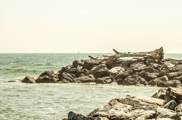 The shores of Ventura, California offer a unique background view of the Pacific Ocean.