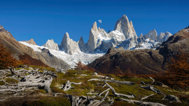 istock View of El Chalten (also known as Fitz Roy). 1312742445