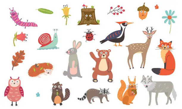 Vector illustration of Large set of cute forest animals and plants