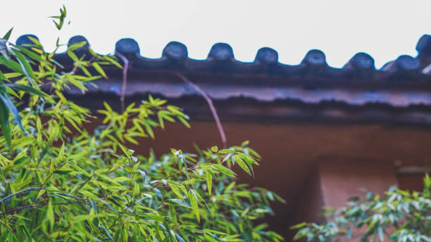 istock Spring in an old house in China 1312746127