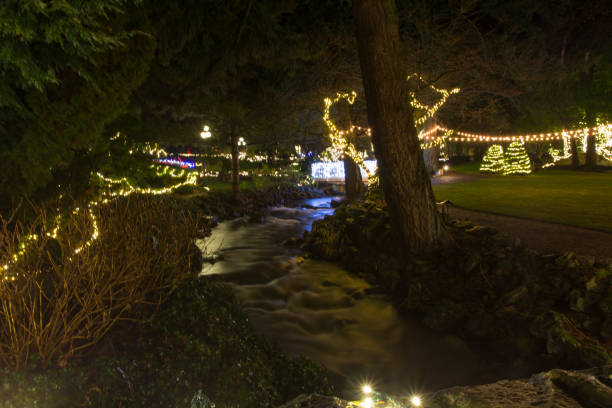 istock Illuminated urban park at night 1312747122