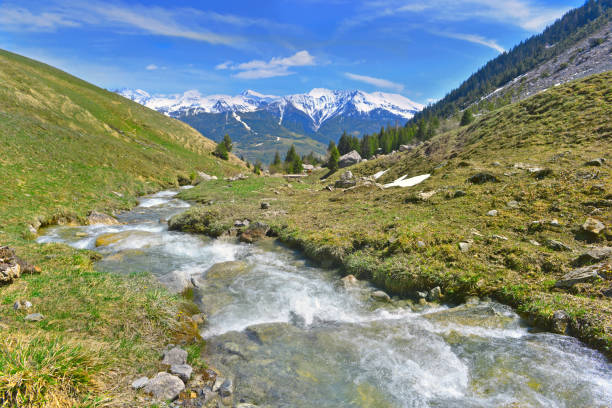 istock stream flowing in a meadow with mountain range covered with snow background 1312747371