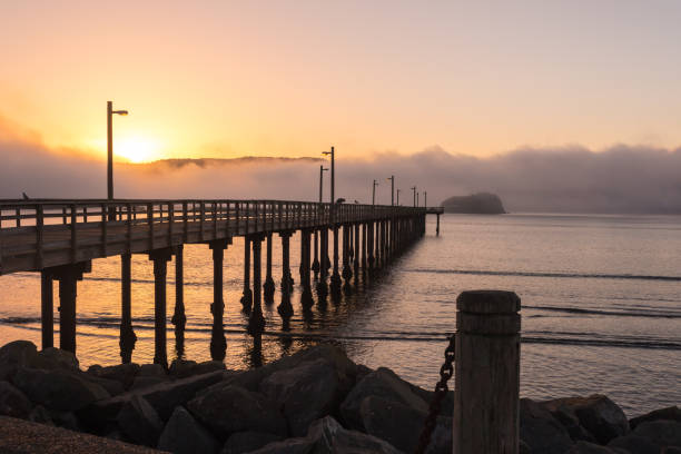 istock Beachfront park at Pacific coastline at misty dawn 1312747989