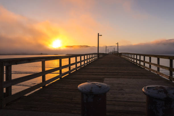 Beachfront park at misty dawn. Crescent City, California Beautiful sunrise over sea coast. Viewed from Beachfront park in Crescent City, California marina california stock pictures, royalty-free photos & images