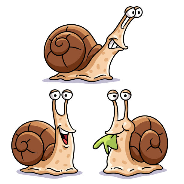 Funny Snails Vector illustration of a collection of three happy snails in cartoon style isolated on white. They are laughing, moving and eating a salad. slow motion stock illustrations