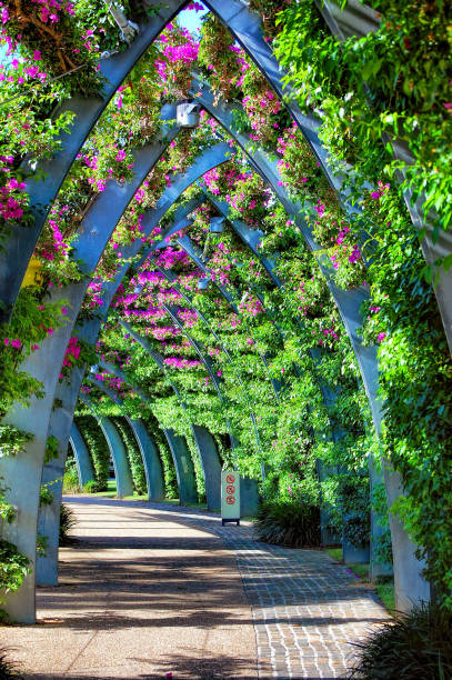 istock Walkway at Southbank in Brisbane 1312750241