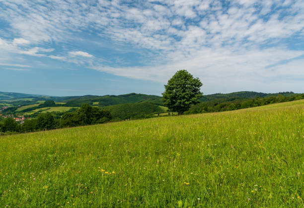 istock Springtime mountain scenery wirh meadow with isolated tree, hills, small village in valley and blue sky with clouds - Bile Karpaty mountains in Czech republic 1312751374