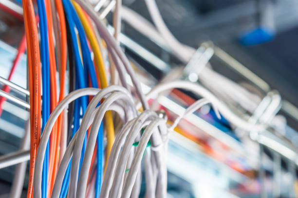 istock Detail of network cables 1312753390
