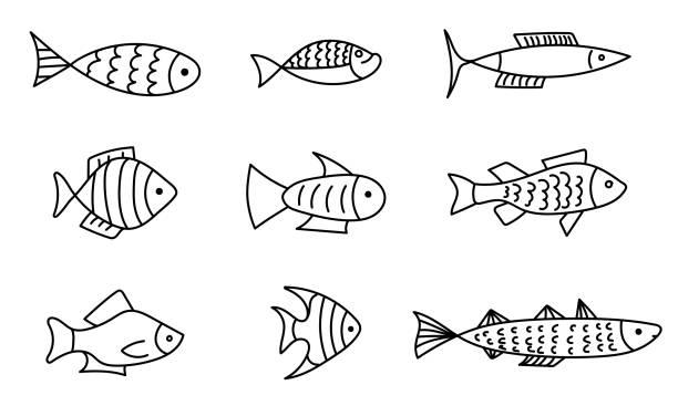46,500+ Tropical Fish Illustrations, Royalty-Free Vector Graphics ...