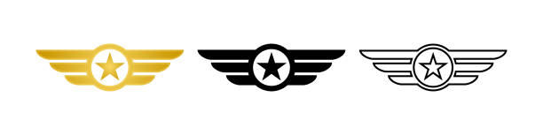 Wing with star icon. Military badge. Army wings symbol. Wings army collection signs. Stock vector Wing with star icon. Military badge. Army wings symbol. Wings army collection signs. Stock vector. EPS 10 gi icon stock illustrations