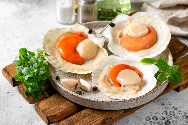 istock Raw scallop in the shell in a plate on the light table. Fresh shellfish close-up 1312756295