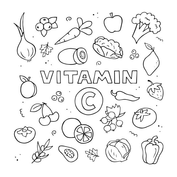Set of vitamin C sources. Hand drawn illustration. Doodle natural food. Vector black and white outline. Set of vitamin C sources. Hand drawn illustration. Doodle natural food. Vector black and white outline. nature clipart stock illustrations