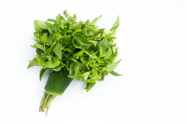 istock Hairy Basil in bamboo basket on white background. 1312757763