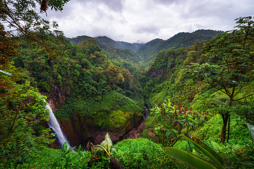 Catarata del Toro waterfall in Costa Rica with surrounding mountains. This waterfall is located in Juan Castro Blanco National Park on the Toro Amarillo River and is 90m high.
