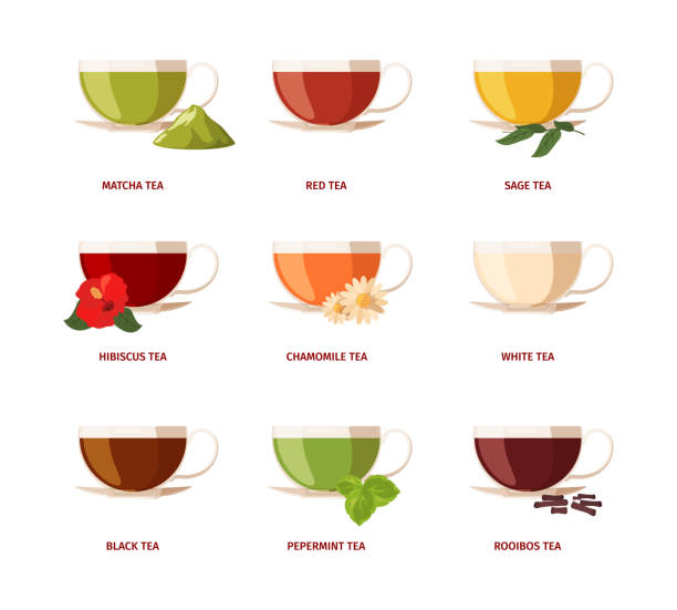 ilustrações de stock, clip art, desenhos animados e ícones de type of tea. beverage drinking natural products with green leaves lemon rooibos liquids in glass cups black tea garish vector flat illustrations set - green tea tea tea cup cup