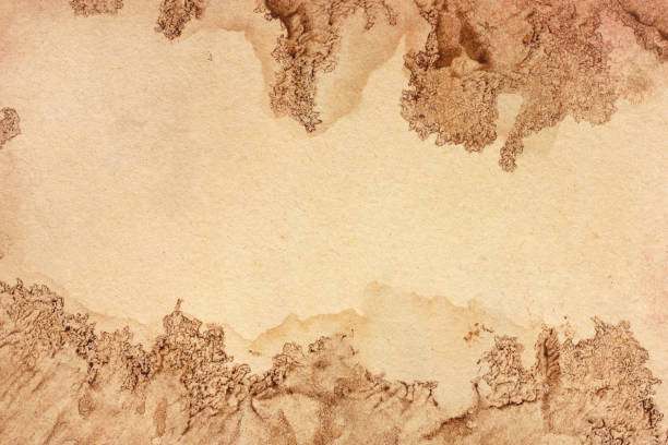 istock Old brown paper grunge for background. Abstract liquid coffee color texture. 1312758275
