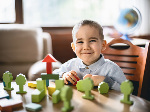 Portrait Of Happy Toddler Boy Playing With Colorful Toy Blocks At Home