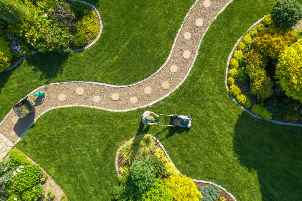 Big Garden Grass Field Mowing by Caucasian Gardener Aerial View of Big Garden Grass Field Mowing by Caucasian Gardener. Summer Time Landscape Maintenance. garden stock pictures, royalty-free photos & images