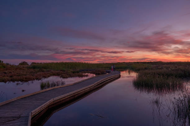 istock wooden bridge across the lake 1312763267