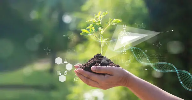 Photo of Biology laboratory nature and science, Plants with biochemistry structure and chemical formula on green background.