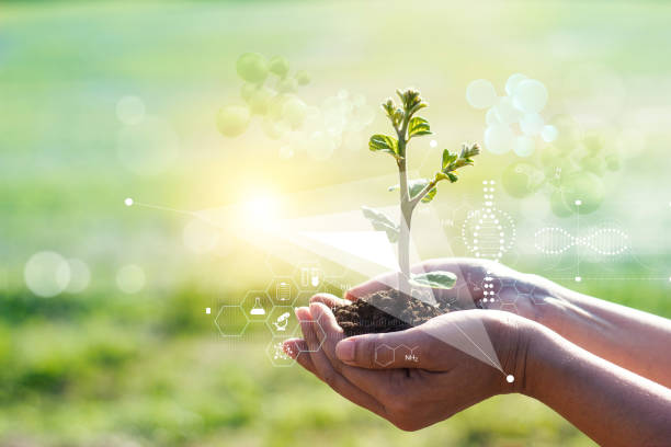 istock Biology laboratory nature and science, Plants with biochemistry structure and chemical formula on green background. 1312764796