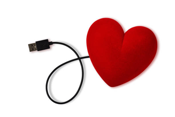 istock Heart connected with USB plug on white background - Concept of love 1312765115