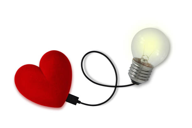 istock Heart and brain connected with cable on white background - Concept of mind and heart connection 1312765162