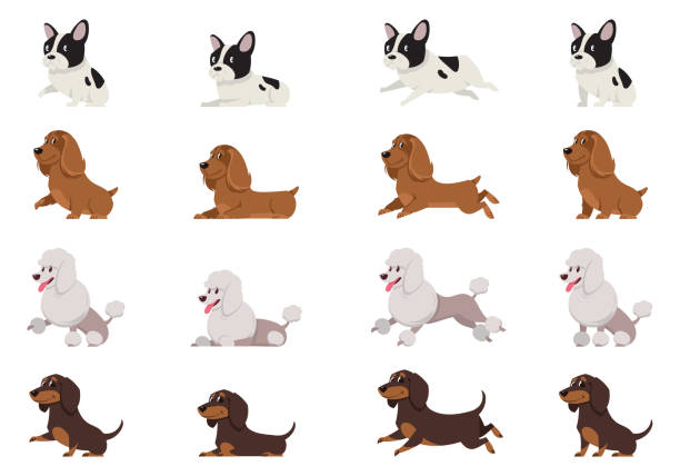 Set of dogs in different poses. Set of dogs in different poses. French bulldog, Cocker Spaniel, Poodle and Dachshund in cartoon style. cocker spaniel poodle mix stock illustrations