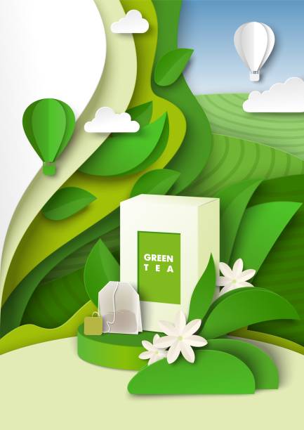 szablon reklam zielonej herbaty, ilustracja wektorowa. ziołowa herbata opakowanie pudełko teabag makieta, papier wyciąć zielone liście, plantacje - green tea tea teabag green stock illustrations