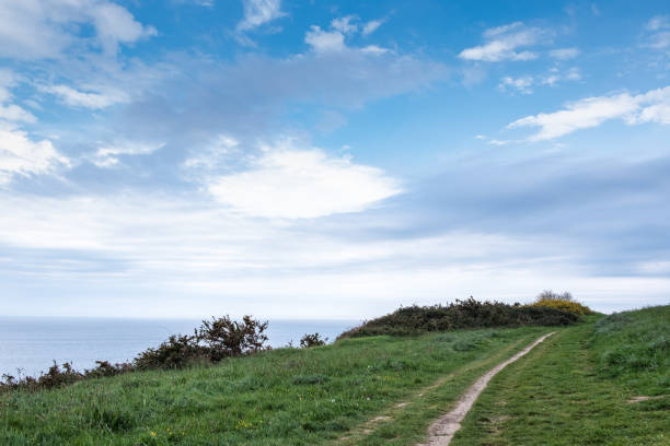 istock Cumulus clouds over the sea 1312776519