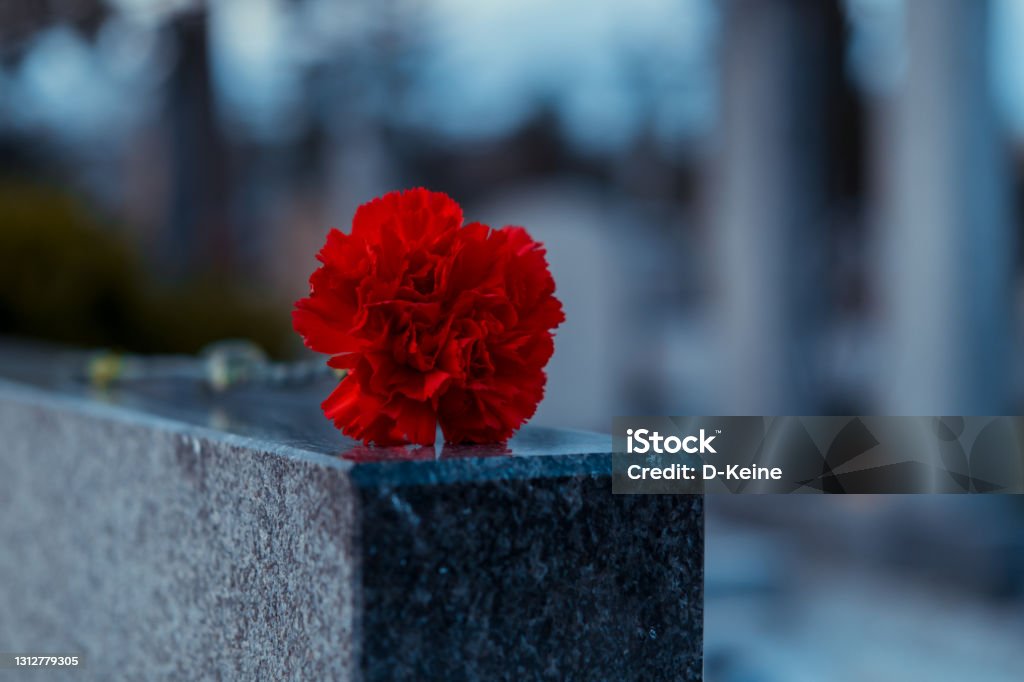 Cemetery Red flower on tombstone at cemetery Rest In Peace Stock Photo