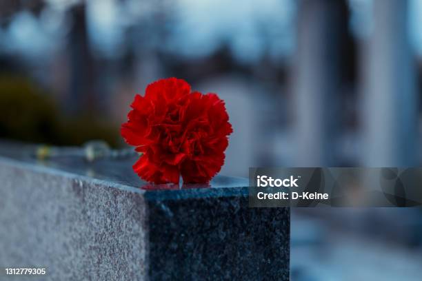 Cemetery Stock Photo - Download Image Now - Rest In Peace, Cemetery, Funeral