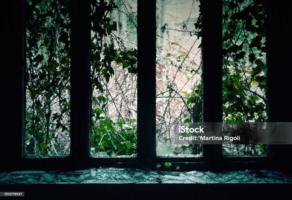 Dark window in abandoned mental hospital Abandoned Place Stock Photo