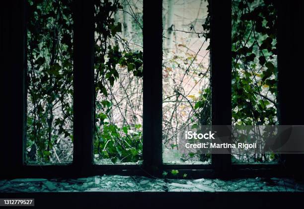 Dark Window In Abandoned Mental Hospital Stock Photo - Download Image Now - Abandoned Place, Abandoned, Absence