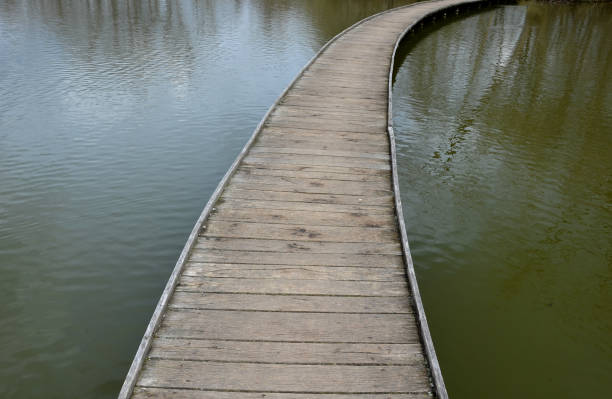 floating walkway made of wood planks. narrow curved leads above the lake water. has no railings. more design sidewalk made of individual circular boards.