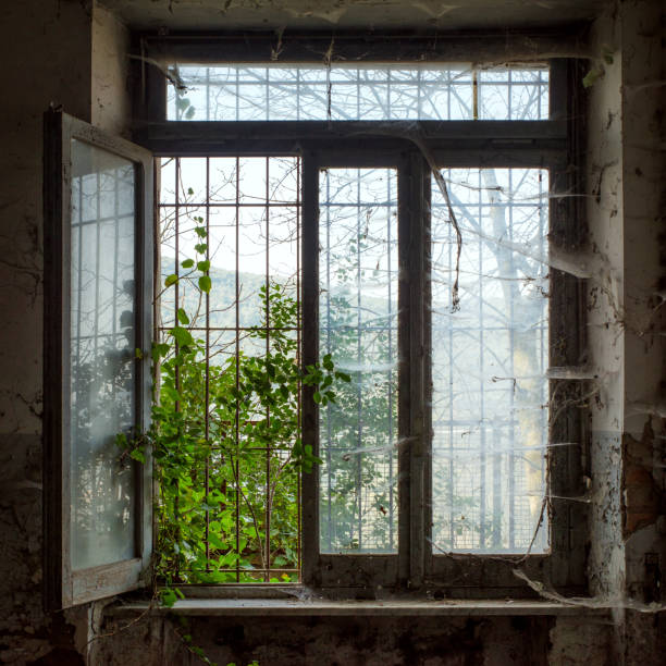 Old ruined house with broken windows on summer day