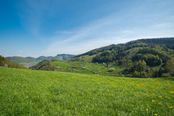 スイスの春の草原や畑の風景。咲く桜 - cherry tree fruit tree meadow spring ストックフォトと画像