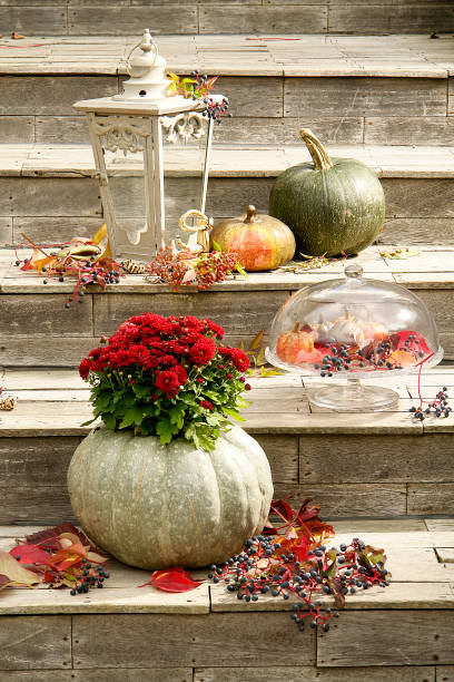 istock outdoor stairs flower concept 1312791957