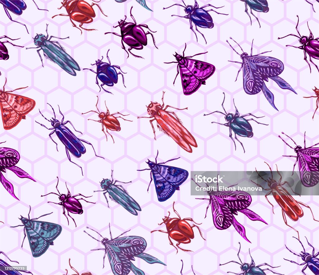 Science Backdrop Insects Background With Various Insects Stock Illustration - Download Image Now ...