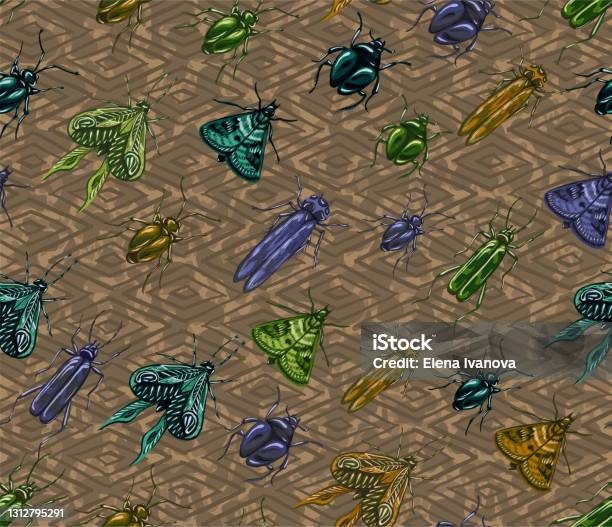 Background With Various Insects Stock Illustration - Download Image Now ...