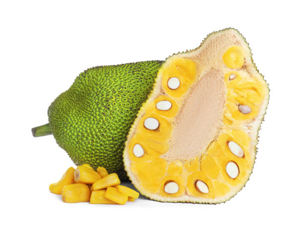istock Cut and whole delicious fresh exotic jackfruits on white background 1312795625