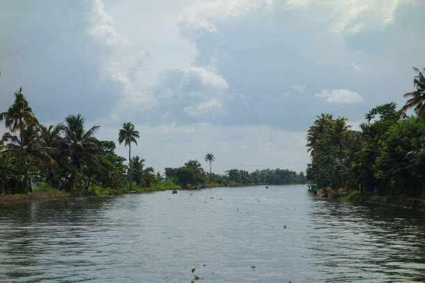 istock Backwaters network of brackish lagoons in Kerala 1312796914