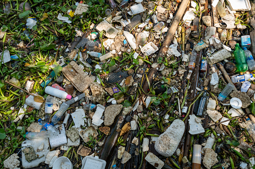 River surface polluted with trash and plastic mixed with local tropical water plants in an estury in urban area of Bangkok, Thailand.