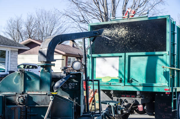 istock Big tree shredder throwing wood chips in truck 1312799955