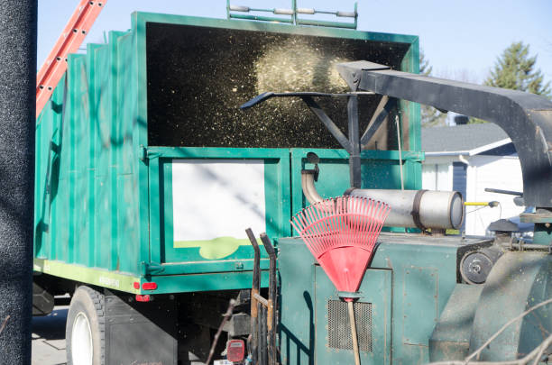 istock Big tree shredder throwing wood chips in truck 1312799972