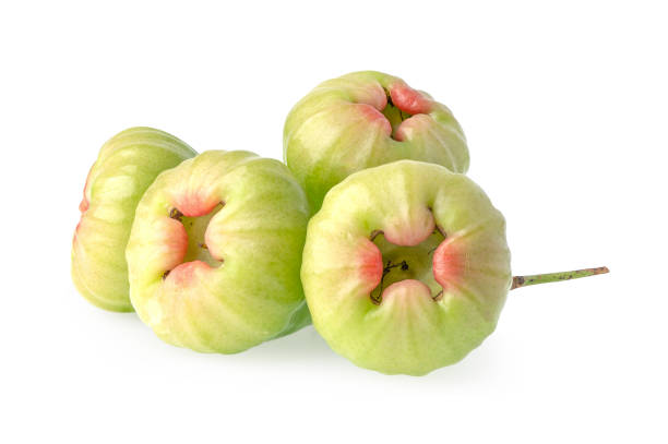 istock Rose apple, chophu, pink apple eugenia isolated on white background with clipping path. 1312799996