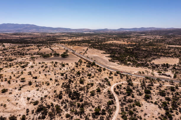 istock High angle view of road in Guanajuato, Mexico 1312801543