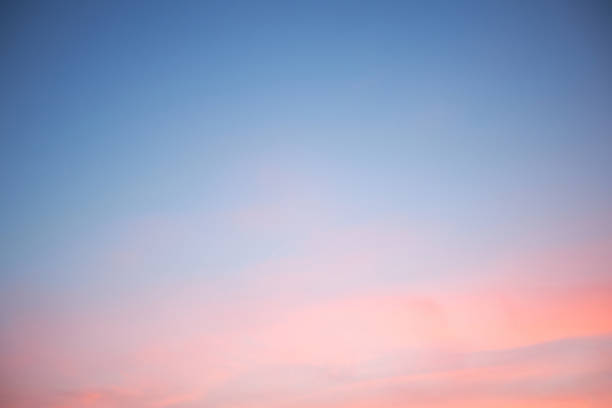 istock Purple and blue sky in the evening 1312802646
